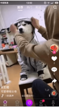 【优选源码】直播源码_2020最新直播系统+短视频源码+教程+完整开发文档 - 截图2