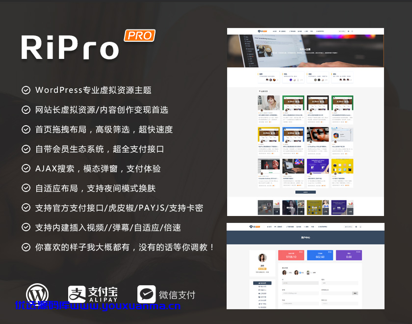 【优选源码】最新日主题RiPro v8.8 无限制版 免扩展 修复缓存器功能+下载美化插件 - 截图1