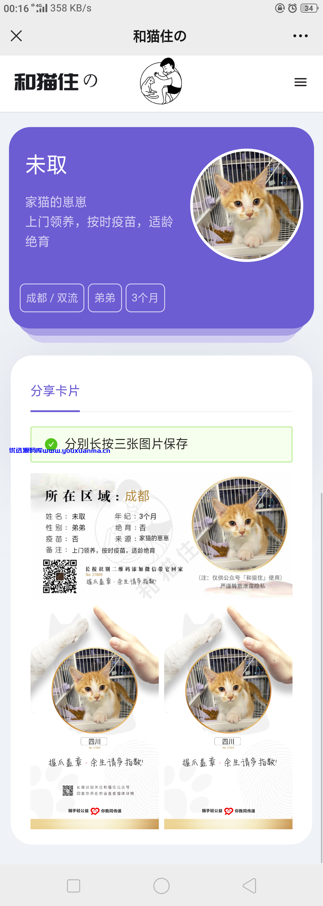 【优选源码】流浪猫流浪狗H5源码下载带演示 - 截图1