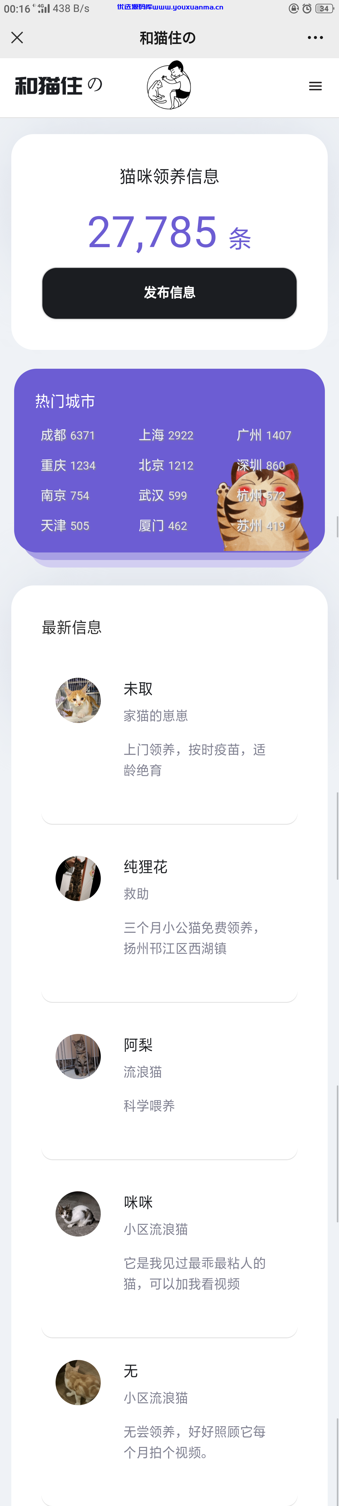 【优选源码】流浪猫流浪狗H5源码下载带演示 - 截图3