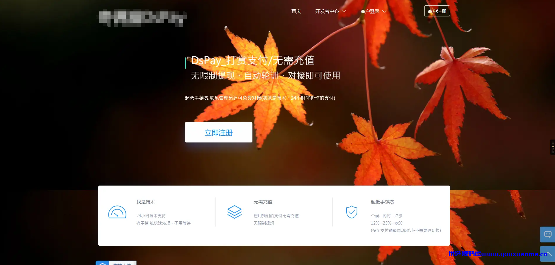 【优选源码】 个码免签支付APP+聚合支付后台源码 - 截图1
