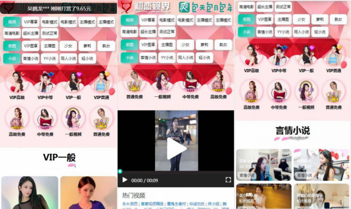 【优选源码】全新开发苹果CMS源码 引流吸粉视频 两种播放模式 仿抖音快手直播 - 截图2