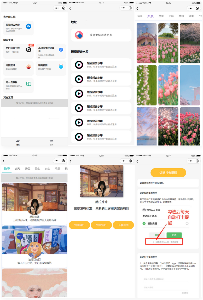 【优选源码】多接口带头像挂件制作短视频去水印微信小程序源码 - 截图1