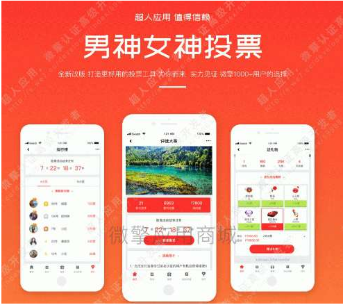 【优选源码】男神女神投票 v5.5.21 - 截图1