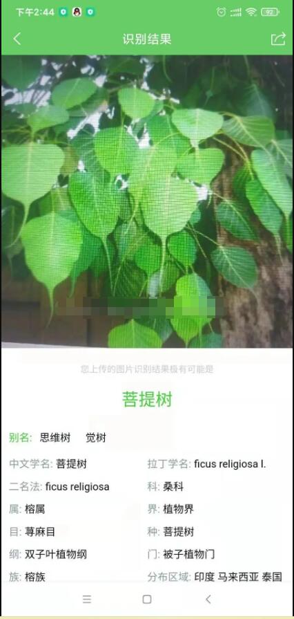【优选源码】慧眼识花草小程序源码-支持自动查找识别与这款植物匹配的名称 - 截图1