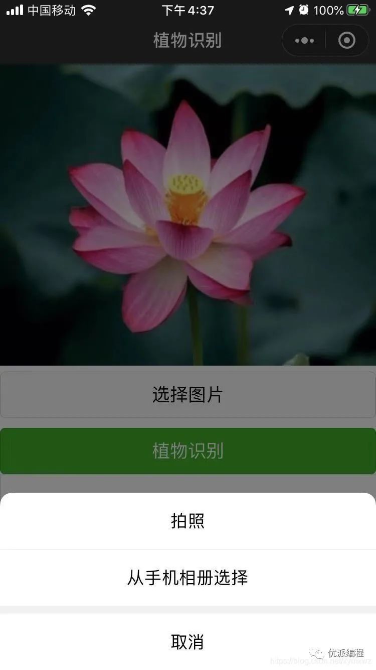 【优选源码】慧眼识花草小程序源码-支持自动查找识别与这款植物匹配的名称 - 截图2