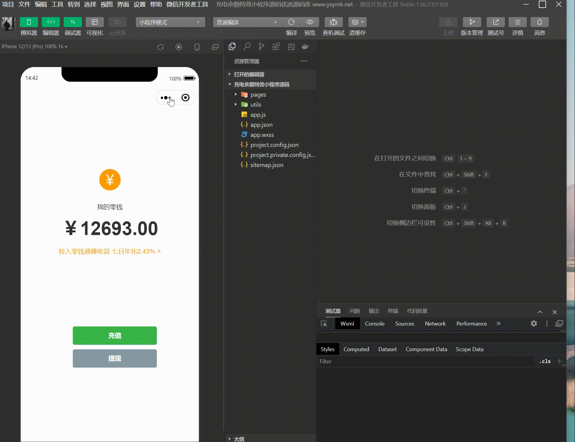 【优选源码】 微信余额充电器特效小程序源码 微信充电充钱模拟器 - 截图1