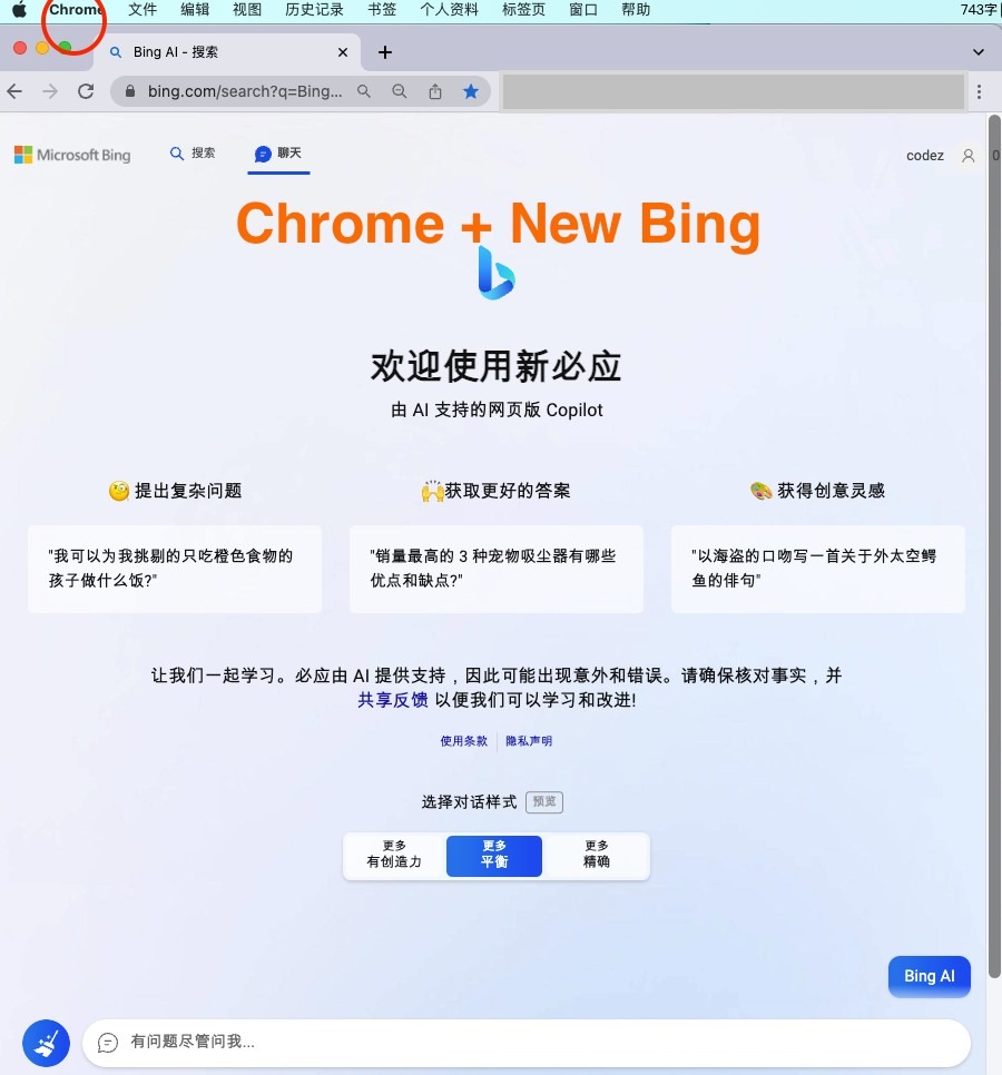 【优选源码】 微软 New Bing 完美聊天机器人源码,支持 ChatGPT 提示词,拥有一致的 UI 体验,国内可用,基本兼容微软 Bing AI 所有功能 - 截图1