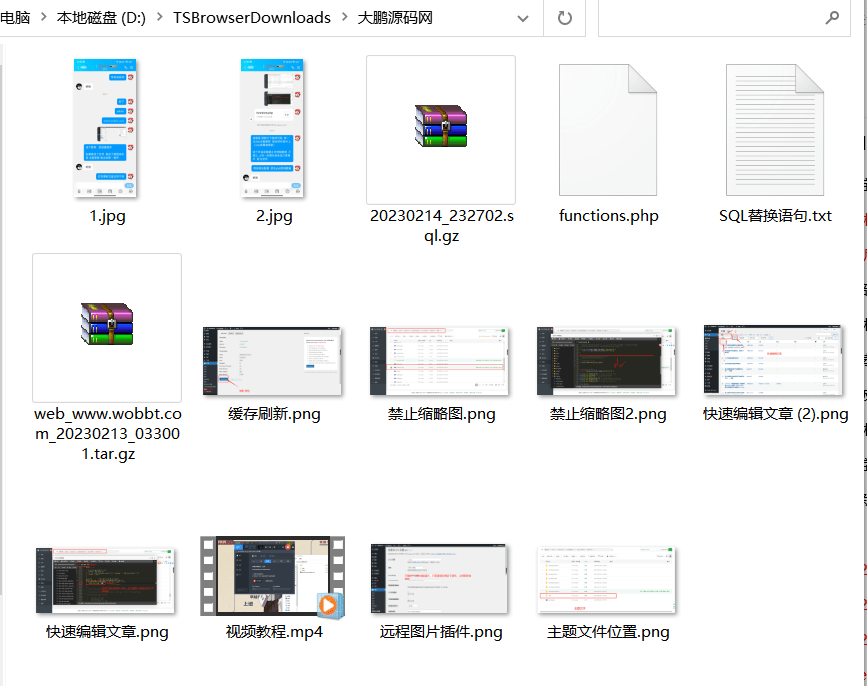 【优选源码】大鹏源码资源网WordPress源码网整站5000条源码文章数据打包+数据库-带视频教程 - 截图5