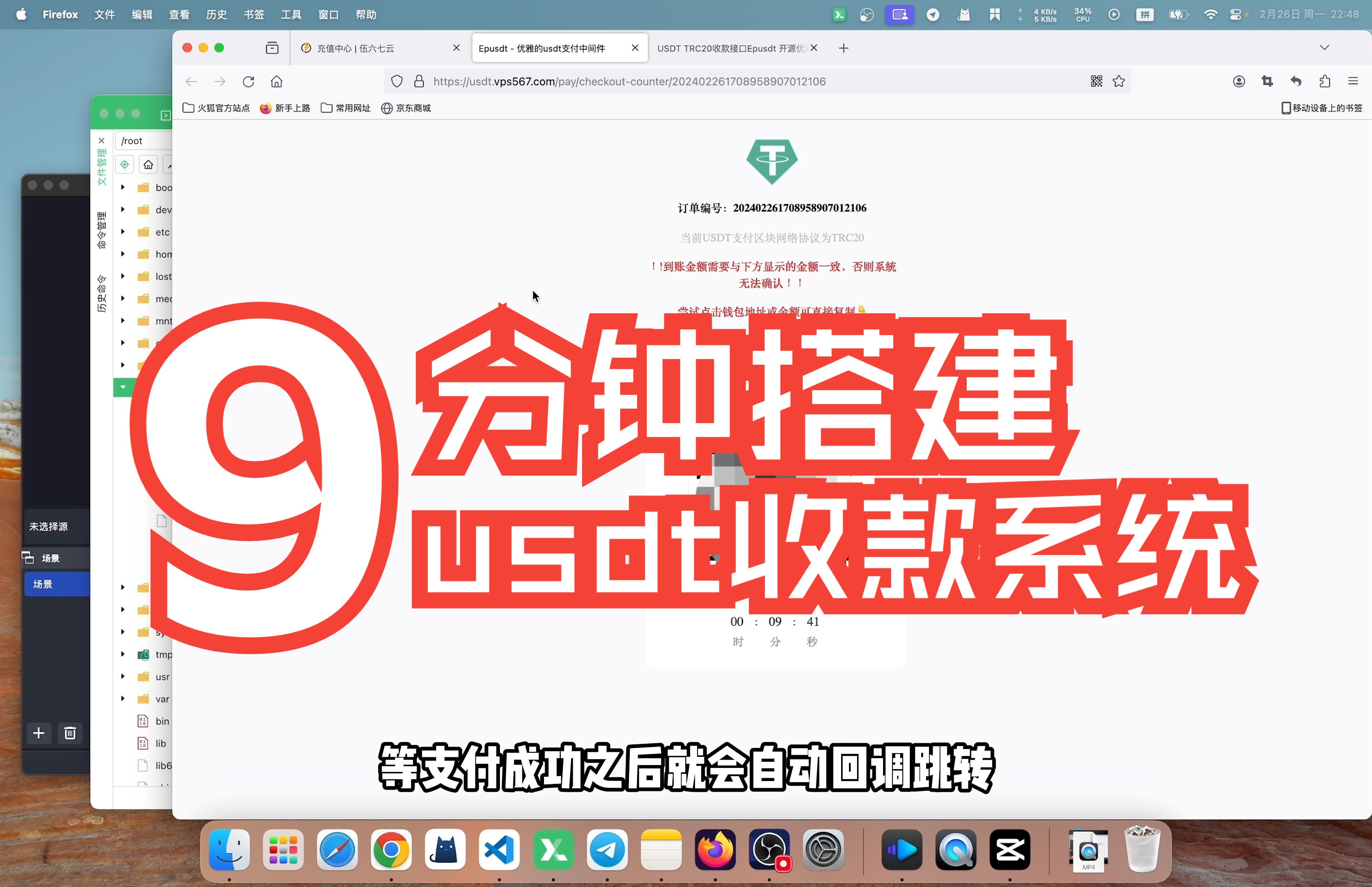 【优选源码】epusdt支付中间件 搭建自己的USDT收款API接口 - 截图1