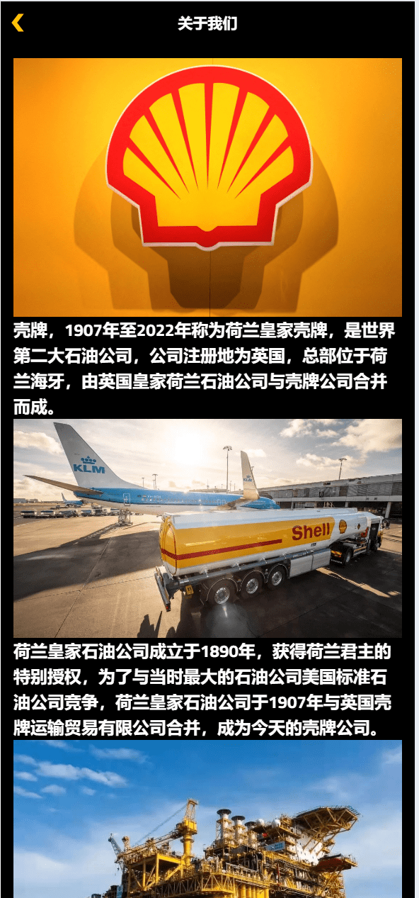 【优选源码】海外荷兰皇家壳牌理财投资系统源码 - 截图15