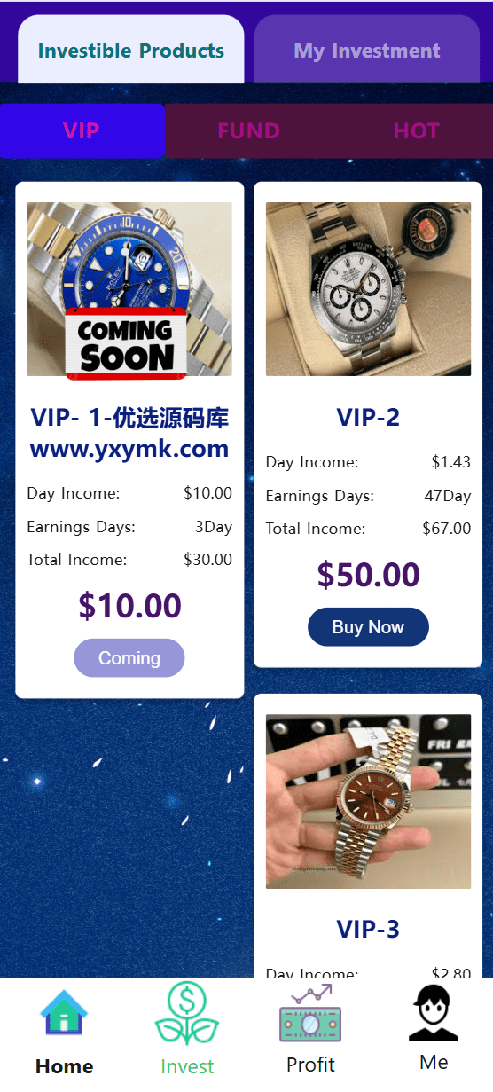 【优选源码】海外新UI/劳力士/奢侈品手表/投资理财系统 - 截图2