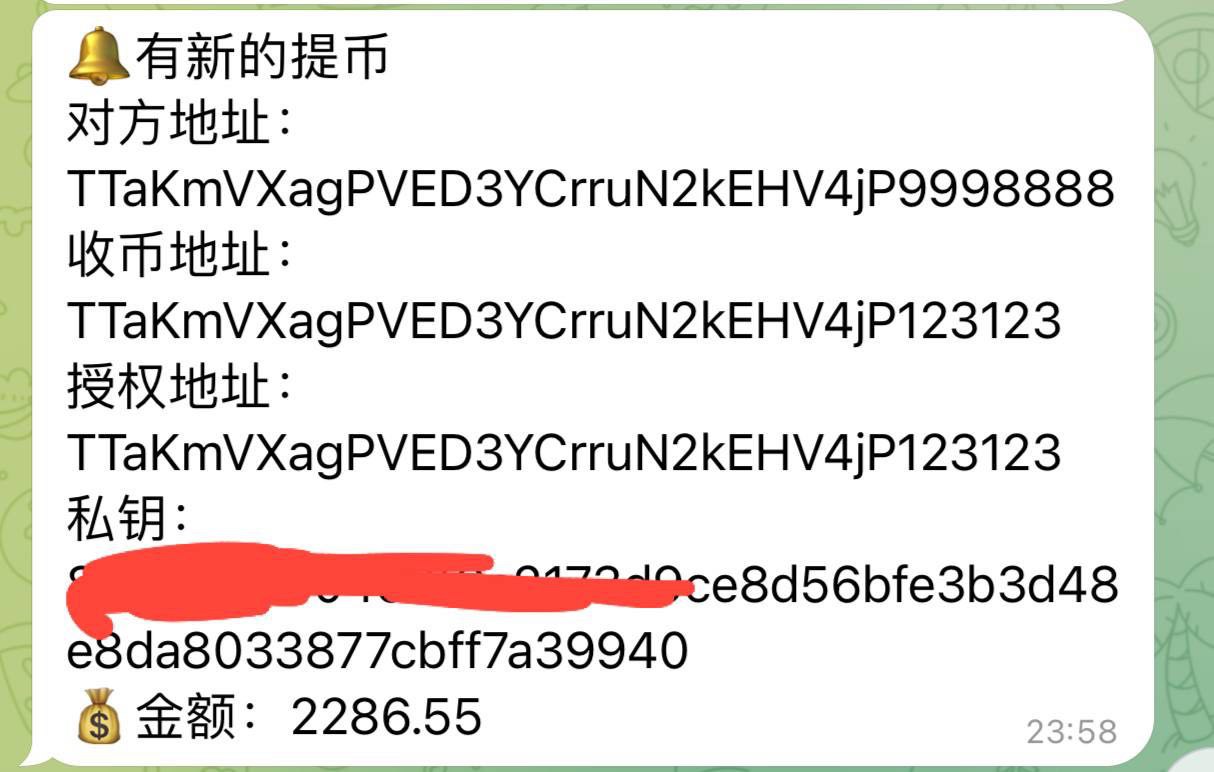 【优选代售】USDT三链提币系统 带后台记录 机器人通知 前端Vue 后端Fastadmin - 截图2