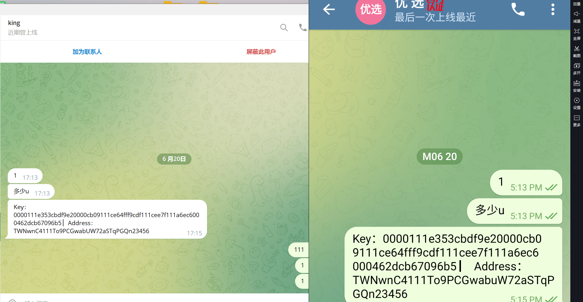 【优选代售】中文假电报2.0系统假TG假飞机telegram2.0中文版|篡改钱包地址|支持篡改三链|带搭建教程 - 截图5