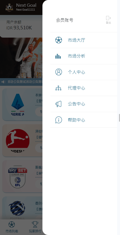 【优选代售】PC自适应反波胆系统/球盘源码/多级分销/充值返点 - 截图3