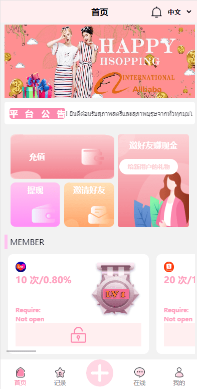 【优选代售】九套UI可切换海外抢单刷单系统/订单自动匹配系统/分组杀/连单控 - 截图11