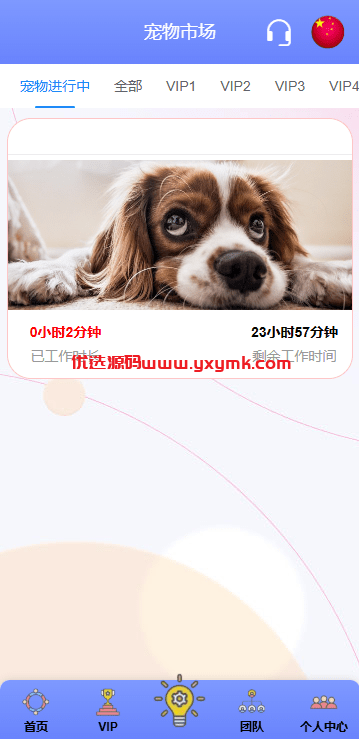 【优选代售】海外宠物投资理财系统/多语言投资源码/前端VUE - 截图7