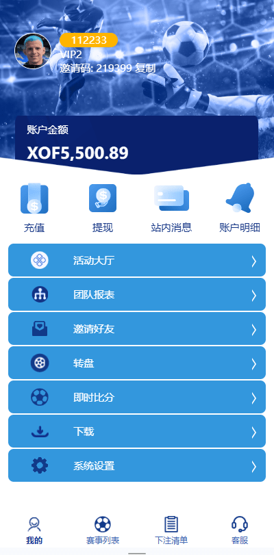 【优选代售】海外反波胆系统/多语言球盘源码/足球下注/三级分销 - 截图5