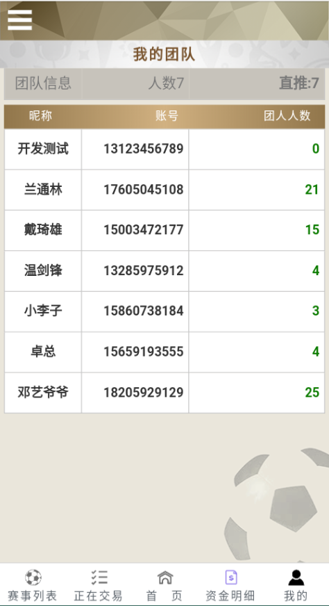 TG淘金网二开版/世界杯反波胆源码/球盘系统 详情图 10