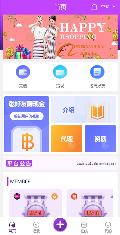 【优选代售】九套UI可切换海外抢单刷单系统/订单自动匹配系统/分组杀/连单控 - 截图8