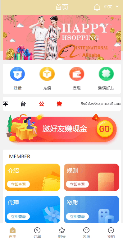 【优选代售】九套UI可切换海外抢单刷单系统/订单自动匹配系统/分组杀/连单控 - 截图7