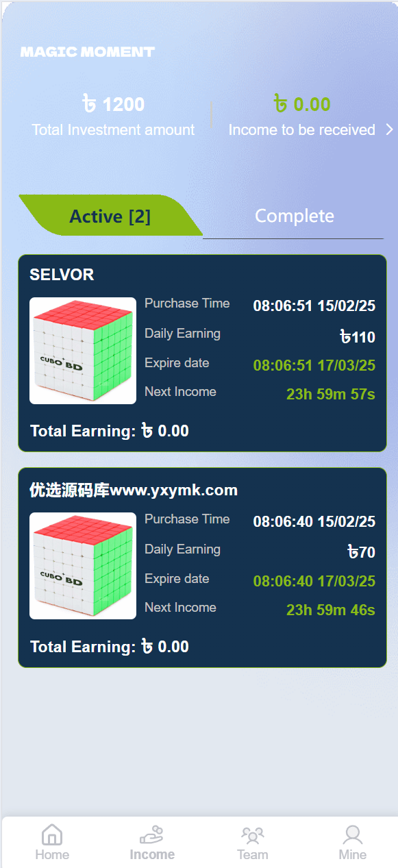 【优选代售】海外tiktok抢单刷单系统/前端uniapp/多语言刷单打针 - 截图1