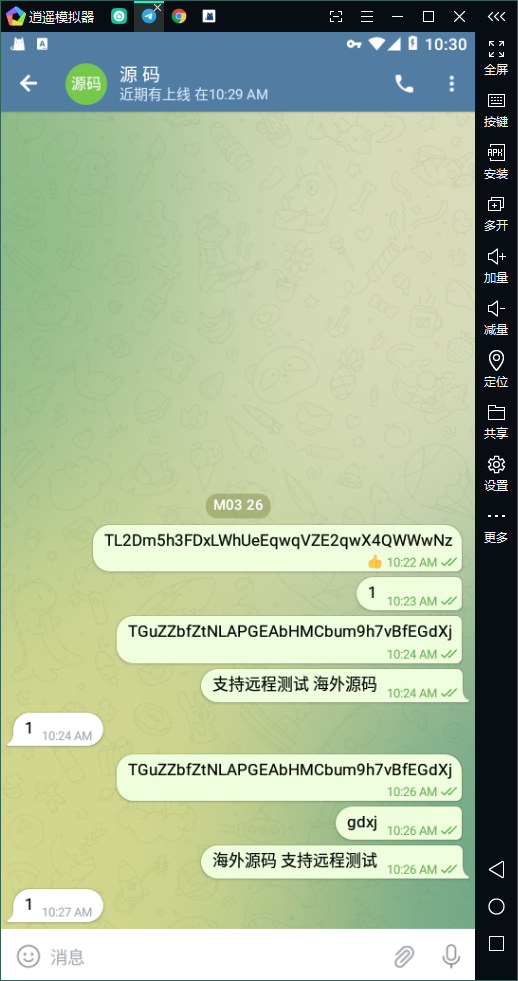 全新开发假飞机系统/钱包地址更换系统/假telegram源码 详情图 2