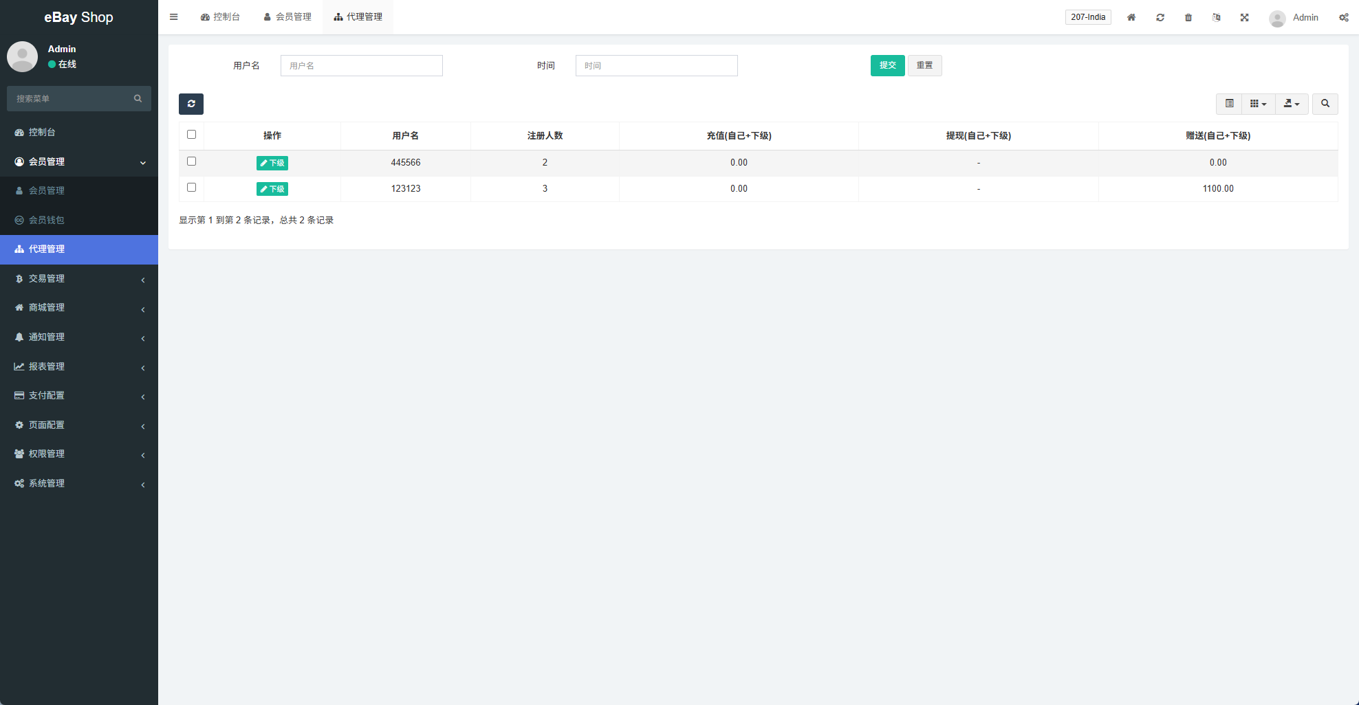 【优选代售】多语言eBay抢单刷单系统/40单任务快杀盘/连单卡单 - 截图20