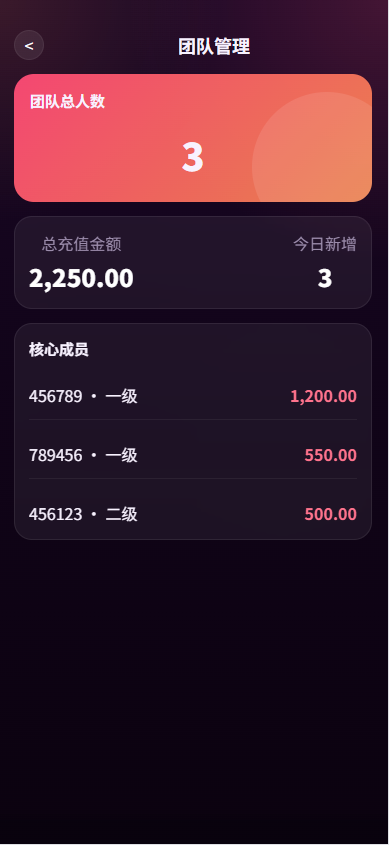 新版TIKTOK抢单刷单/打针派单/连单卡单/JAVA刷单 详情图 10