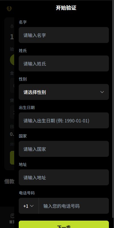 【优选代售】海外DAPP综合交易所/股票/外汇/期货/AI量化/贷款 - 截图18