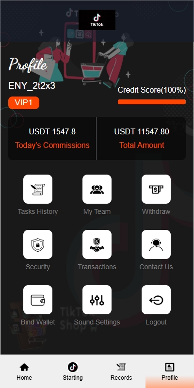 海外TIKTOK抢单刷单系统/连单卡单/前端VUE 详情图 5