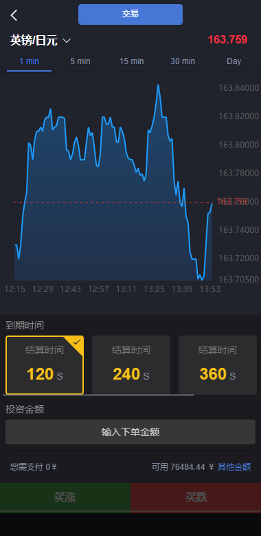 【优选代售】重构版海外微盘系统/外汇微交易系统/伪交易所源码 - 截图2