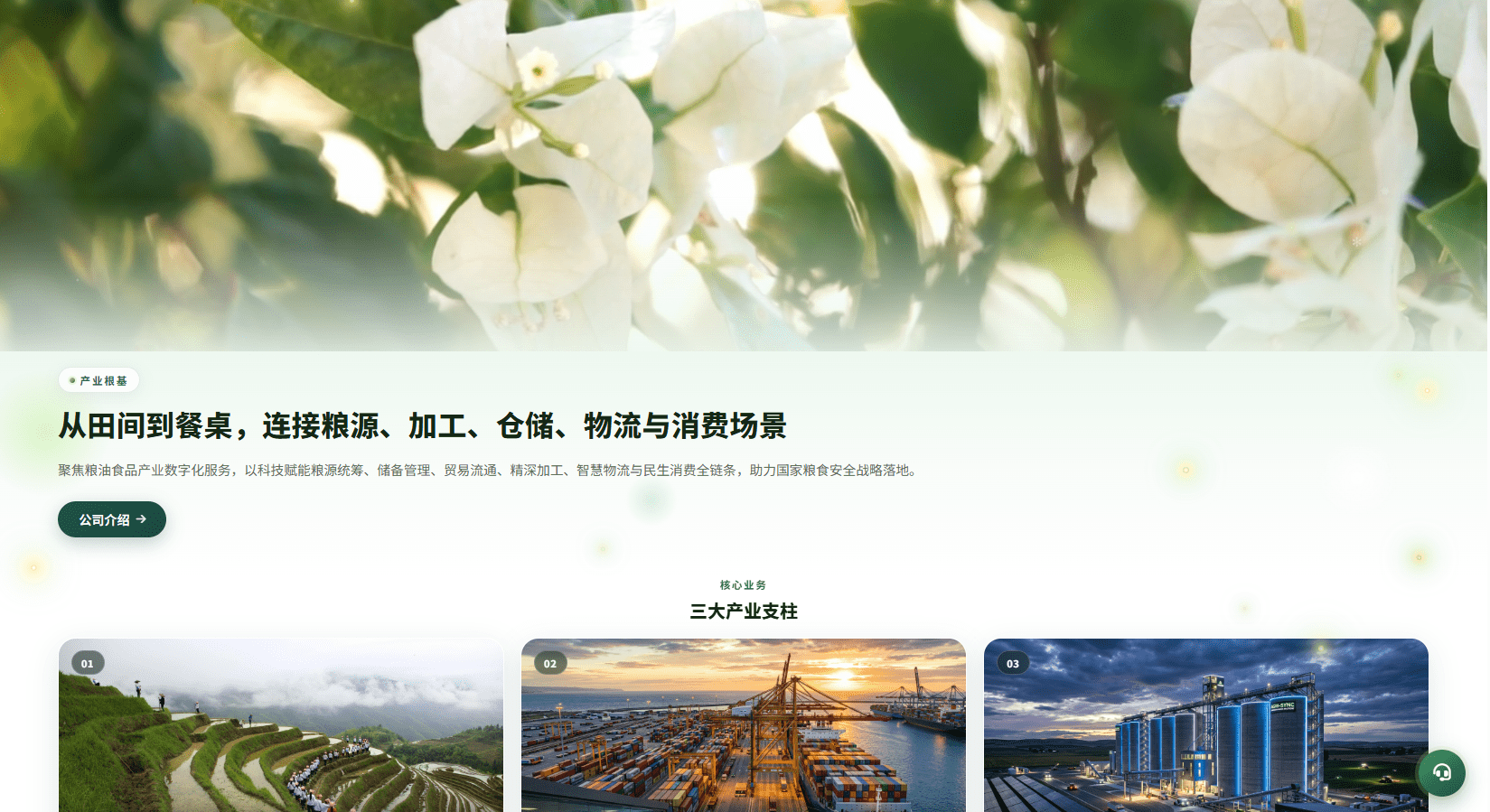 【优选代售】新版农产品微交易系统/PC自适应/信用分/委买微盘 - 截图6