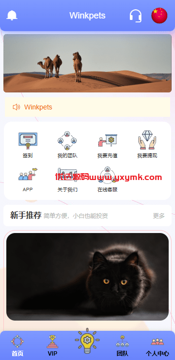 【优选代售】海外宠物投资理财系统/多语言投资源码/前端VUE - 截图3
