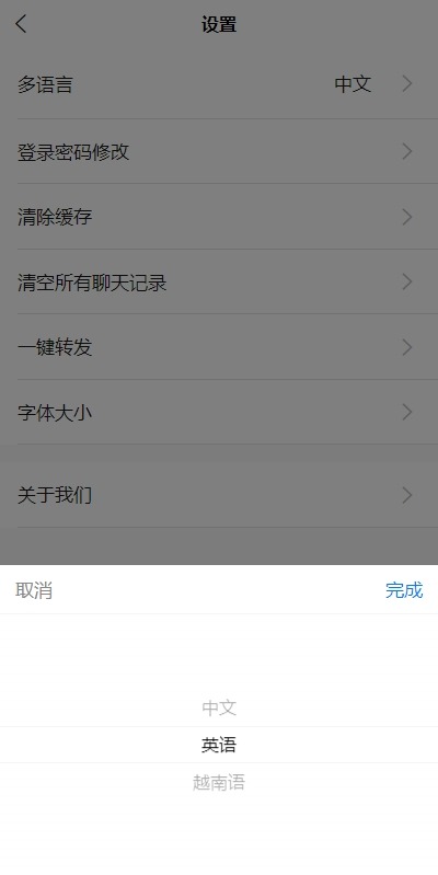 【优选代售】多语言即时通讯系统/语音视频通话/社交聊天系统 - 截图12