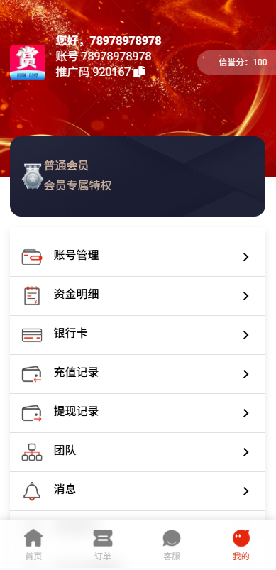 运营版抢单刷单系统/打针/做单/会员跟踪/信誉分 详情图 9