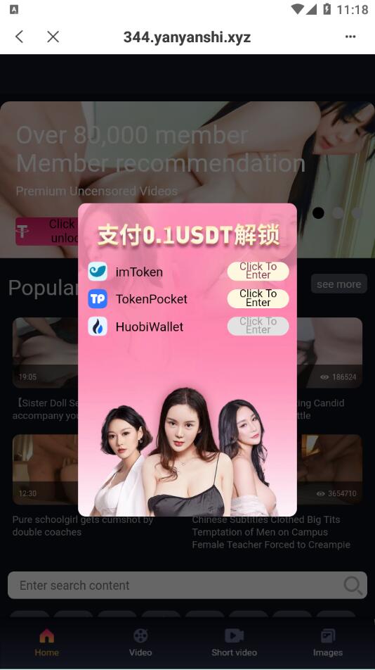 全新4链盗U系统/usdt授权秒U源码/usdt钱包盗U源码 详情图 5