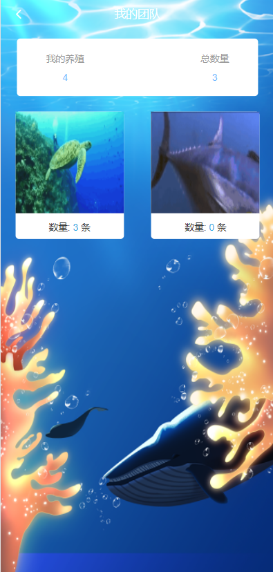 USDT理财系统/USDT投资源码/虚拟币静态收益/区块链源码 详情图 5