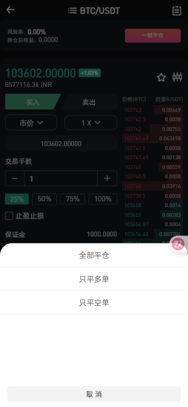【优选代售】二开版海外交易所系统/币币期权杠杆交易/锁仓认购/合约插针 - 截图28