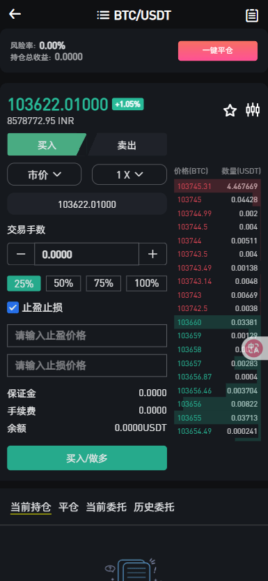 【优选代售】二开版海外交易所系统/币币期权杠杆交易/锁仓认购/合约插针 - 截图27