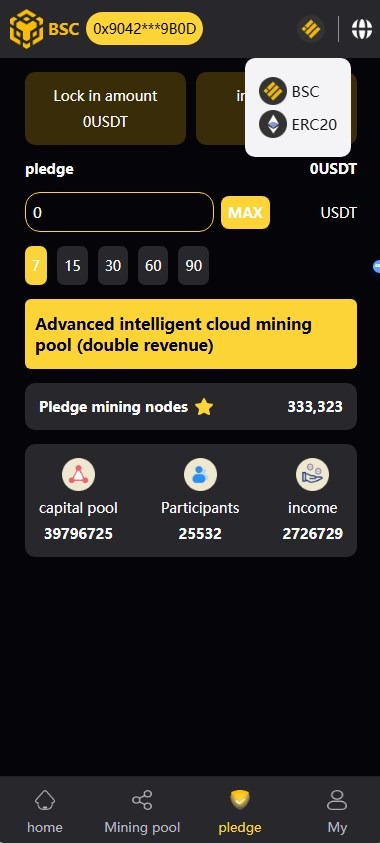 【优选代售】BSC质押挖矿DefiDAPP/带授权合约代码/矿池/7国语言/质押DEFI - 截图11