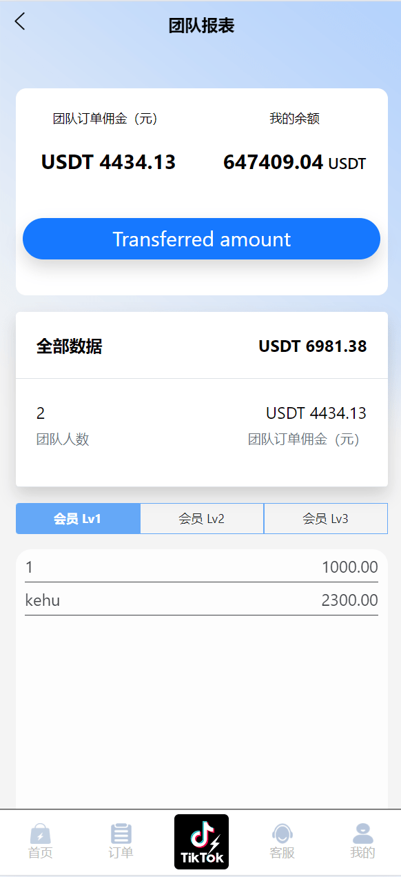 【优选代售】新版多语言TikTok商城抢单刷单系统 - 截图11