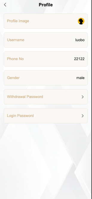 【优选代售】最新多语言奢侈品刷单/抢单系统/订单自动匹配系统/连单卡单/海外源码 - 截图9