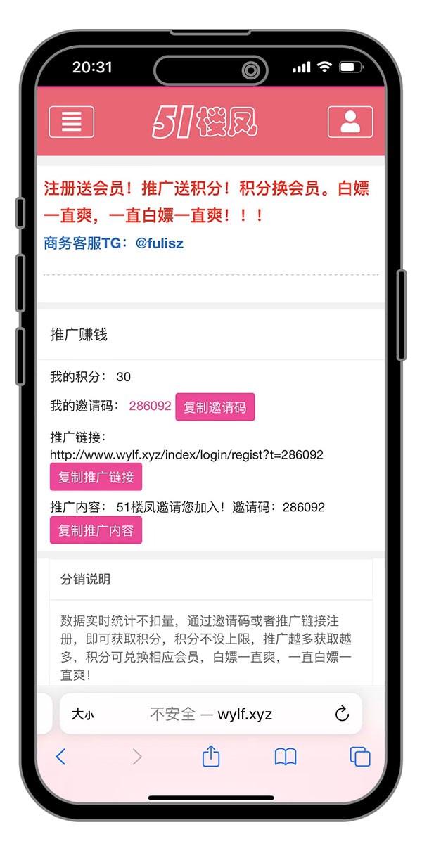 【优选代售】51快活林楼凤源码 - 截图2