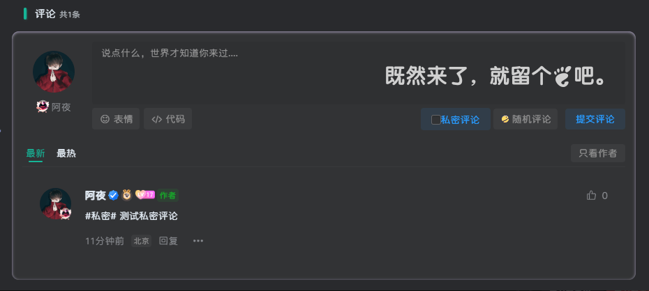 【优选源码】WordPress主题子比主题 添加私密评论功能 - 截图2